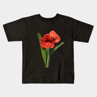 Red Amaryllis Kids T-Shirt